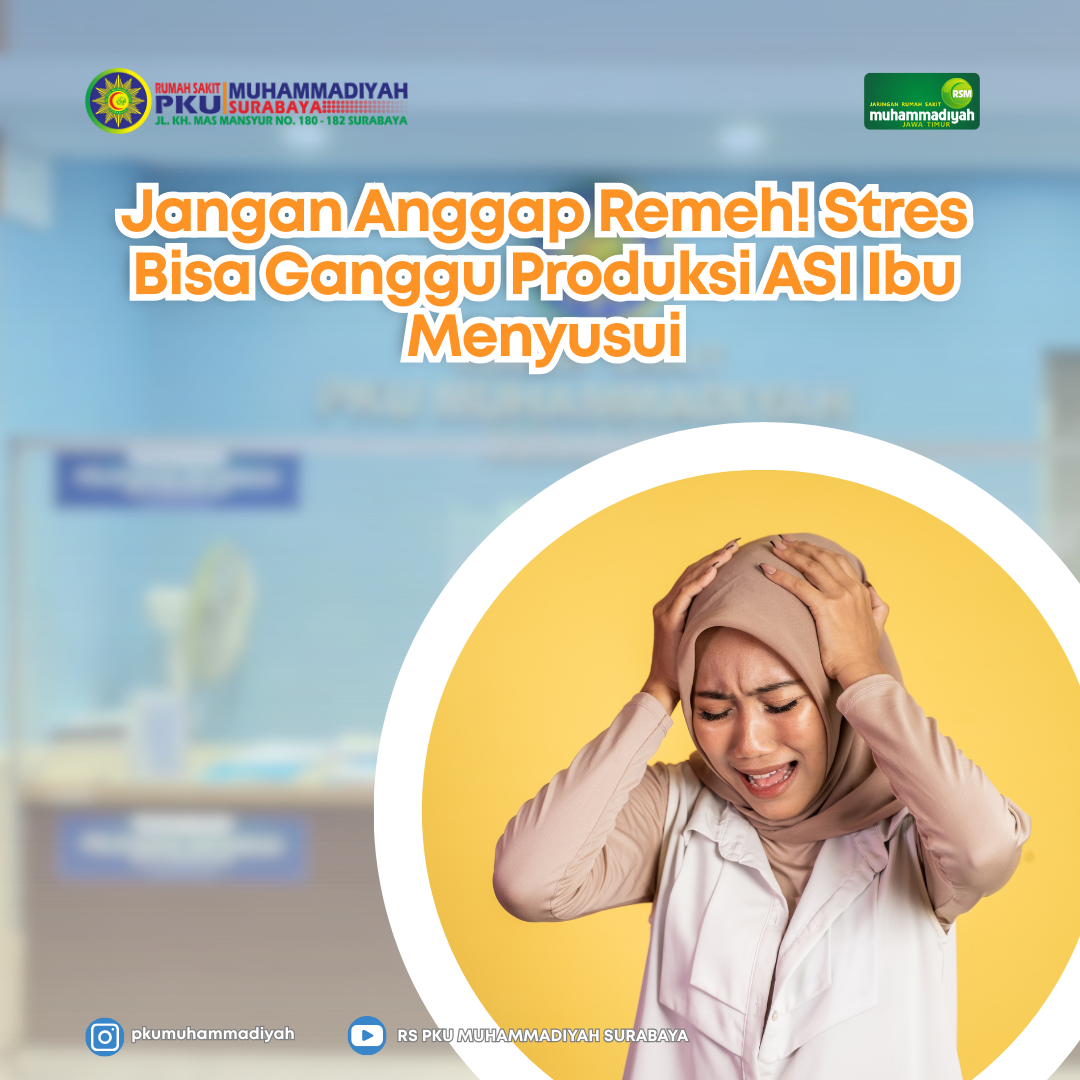 Read more about the article Jangan Anggap Remeh! Stres Bisa Ganggu Produksi ASI Ibu Menyusui